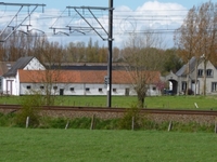Afbeelding 5